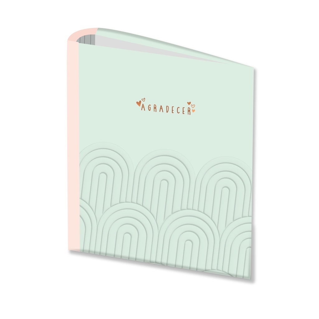 CARPETA 3X40 RY PASTEL