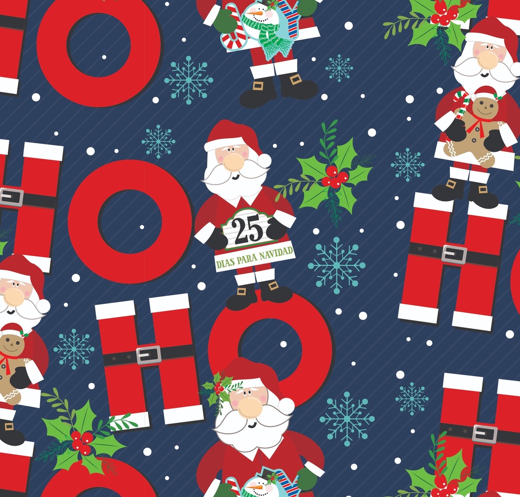 PAPEL PARA REGALO MURESCO 70X100 X10 HOHO2025