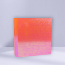 CARPETA 3X40 REXON LASER FILM