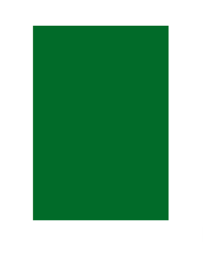 [0002-00034] TAPA OFICIO X50 VERDE