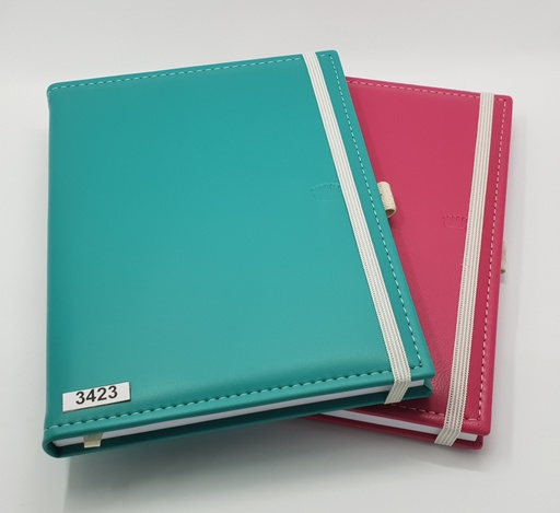 [3423] AGENDA NIVEL 10 16x22 SV ENCUADERNADA CON ELASTICO Y PORTALAPIZ VARIOS COLORES