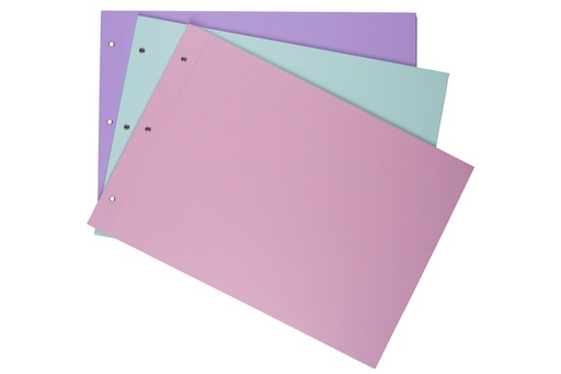 [ZD6P4] CARPETA LAMA 2 TAPAS Nº6 PVC PASTEL