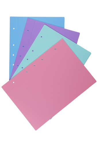 [PPA4P4] CARPETA LAMA A4 2 TAPAS PASTEL