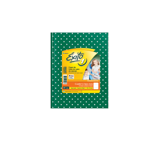 [101034] CUADERNO EXITO E1 LUNAR 48H VERDE RAYADO