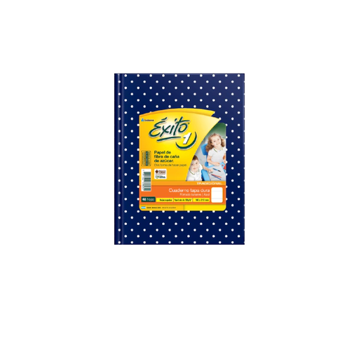 [101032] CUADERNO EXITO E1 LUNAR 48H AZUL RAYADO