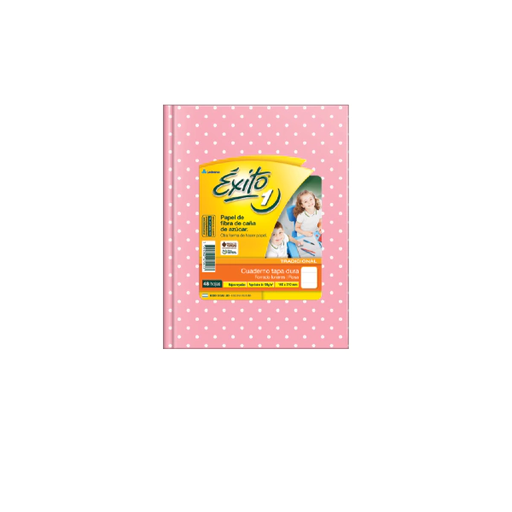[101029] CUADERNO EXITO E1 LUNAR 48H ROSA RAYADO