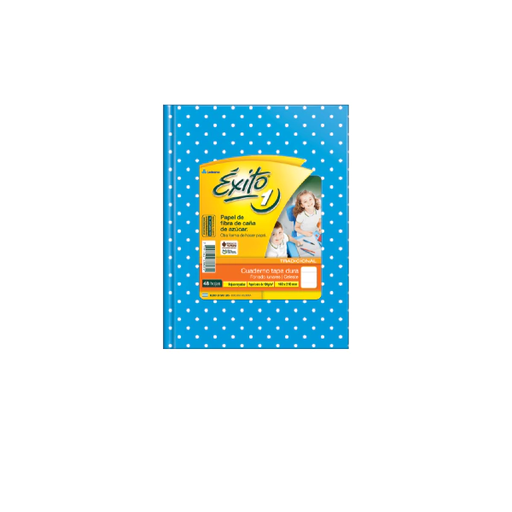 [101030] CUADERNO EXITO E1 LUNAR 48H CELESTE RAYADO
