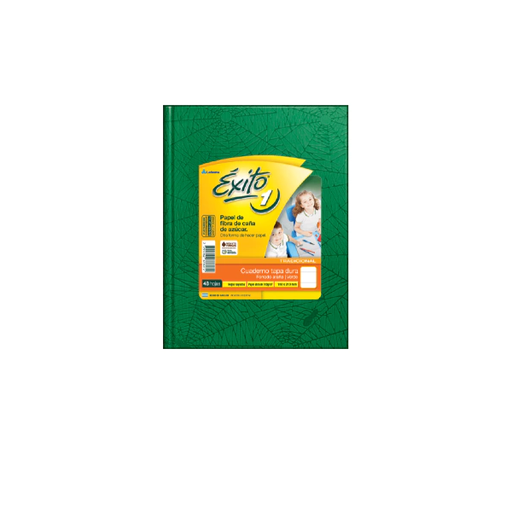 [101002] CUADERNO EXITO E1 ARAÑA 48H VERDE RAYADO