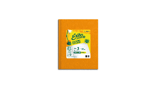 [100954] CUADERNO EXITO E3 FORRADO 48H NARANJA RAYADO