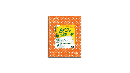 [100974] CUADERNO EXITO E3 LUNAR 48H NARANJA RAYADO