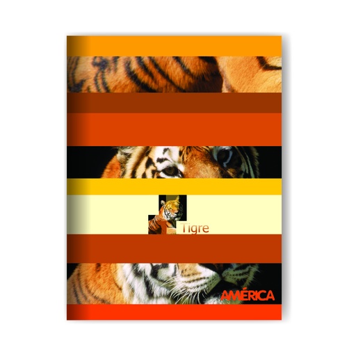 [237611] CUADERNO AMERICA TAPA FLEXIBLE 16X21 24H RAYADO