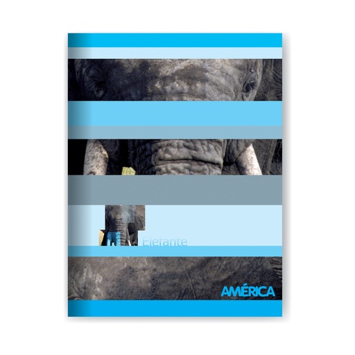 [239550] CUADERNO AMERICA TAPA FLEXIBLE 16X21 86H CUADRICULADO