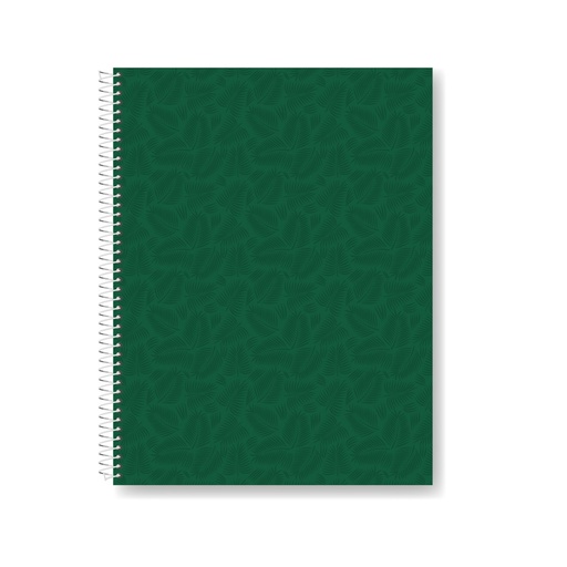 [627133] CUADERNO LAPRIDA AB7 21X27 100H VERDE CUADRICULADO