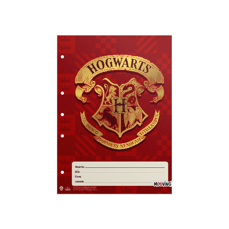 [1202222] CUADERNO MOOVING 16X21 T/F 48H HARRY POTTER