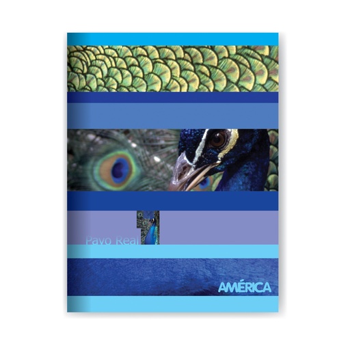 [238560] CUADERNO AMERICA TAPA FLEXIBLE 16X21 48H LISO