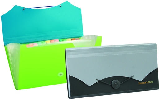 [AE112] CLASIFICADOR LAMA 12 DIVISIONES COMBINADO CHEQUE