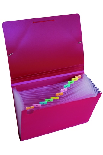 [EF202FRO] CLASIFICADOR LAMA 12 DIVISIONES OFICIO ROJO