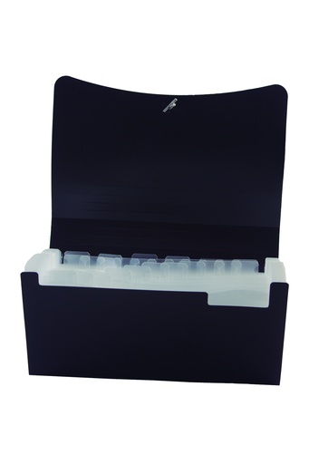 [ME131] CLASIFICADOR LAMA 31 DIVISIONES CHEQUE