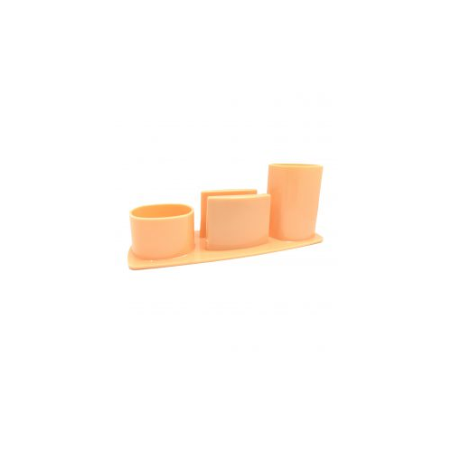 [480-7000] ORGANIZADOR LIGGO EXECUTIVE CORAL