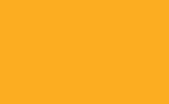 [0QP079971] ROLLO ADHESIVO MURESCO X10M FLUO NARANJA