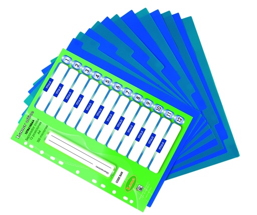[12TBA150A4] SEPARADOR A4 LAMA 12 POSICIONES X 150 MICRONES