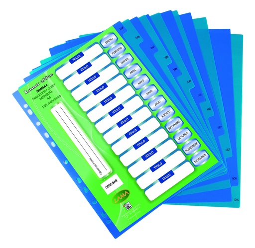 [12MESA4] SEPARADOR A4 LAMA MENSUAL 12 POSICIONES X 150 MICRONES