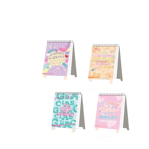 [8019] CALENDARIO RY 8019 MOTIVACION CREATIVA 12X20.5 DISCONTINUO