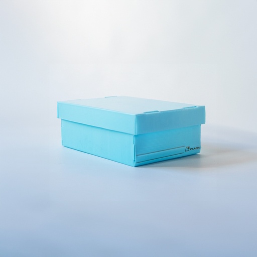 [01302806310] CAJA PLANA CON TAPA 806 CELESTE PASTEL 31X22X12