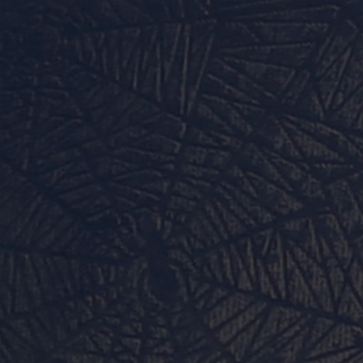 [25-08] PAPEL ARAÑA X20 NEGRO