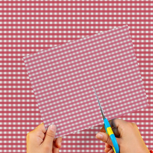 [0EI0260321] CARTULINA ENTRETENIDA MURESCO X10 CUADROS ROJO-ROSA