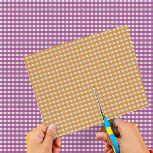 [0EI0260341] CARTULINA ENTRETENIDA MURESCO X10 CUADROS VIOLETA-NARANJA