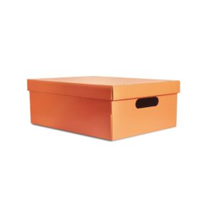 [ML11] CAJA MEDIANA LISA NARANJA