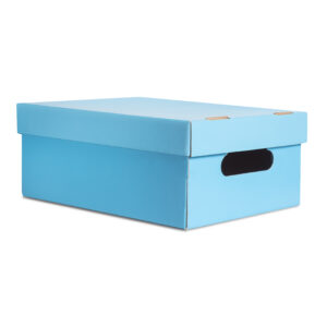 [ML15] CAJA MEDIANA LISA CELESTE