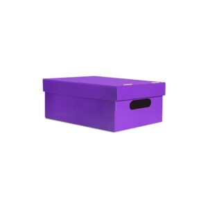 [CL14] CAJA CHICA LISA VIOLETA