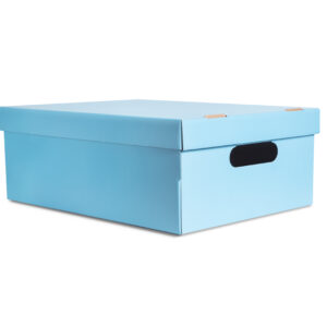 [GL15] CAJA GRANDE LISA CELESTE