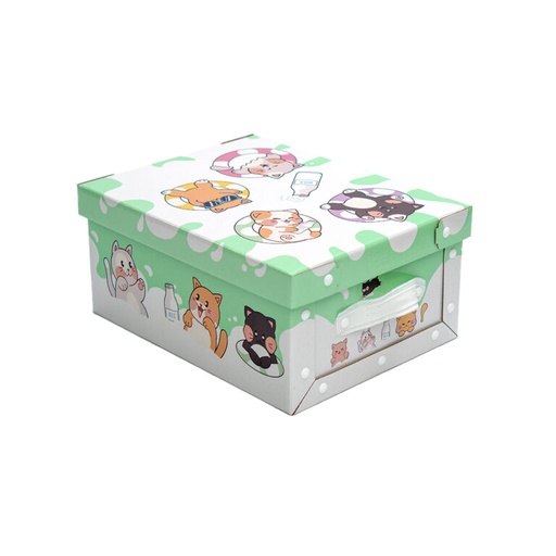 [BAU74] CAJA BAULERA MEDIANA GATITOS 39X30X18