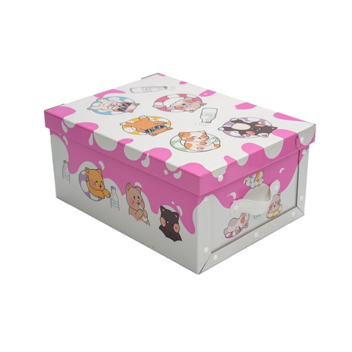 [BAU75] CAJA BAULERA GRANDE GATITOS 48X36X22