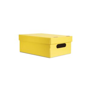 [CL13] CAJA CHICA LISA AMARILLA