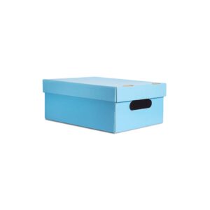 [CL03] CAJA CHICA LISA AZUL