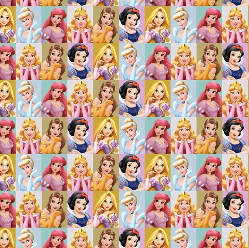 [0AF01332] AFICHE MURESCO FANTASIA 70X100CM X10H PRINCESS FACE