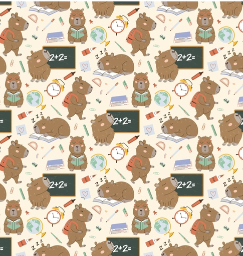 [0AF01375] PAPEL PARA REGALO MURESCO 70X100 X10 CAPI COLE