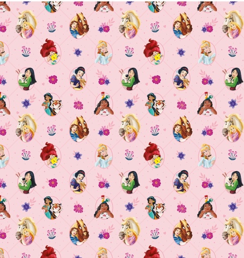 [0AF01398] PAPEL PARA REGALO MURESCO 70X100CM X10 PRINCESAS PET FLIENDLY