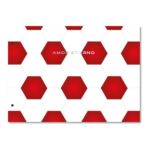 [LP-2011] CARPETA 2 TAPAS Nº5 RY GOALS