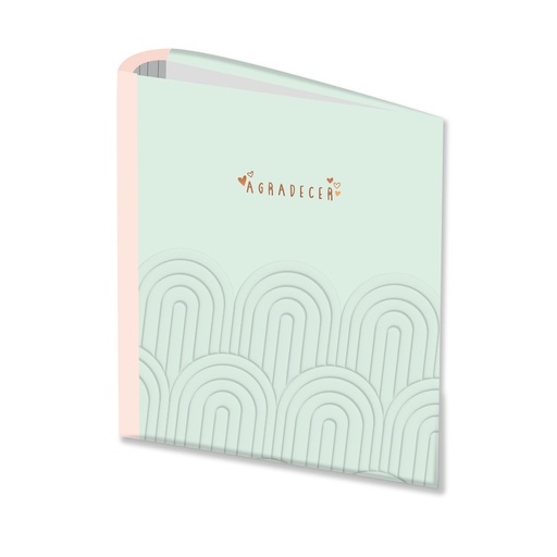 [LP-3007] CARPETA 3X40 RY PASTEL